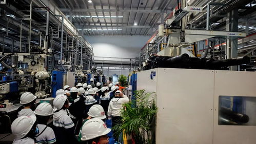 秋假啟航，長虹雙創園打造工業科技研學新標桿 信息技術的深度開發之旅